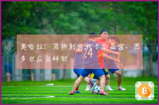 奥哈拉：若热刺失利于水晶宫，图多尔应当辞职