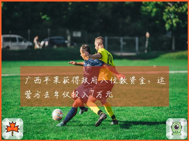 广西平果获得政府八位数资金，运营方去年仅投入7万元