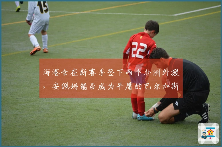 海港会在新赛季签下两个非洲外援，安佩姆能否成为平庸的巴尔加斯？