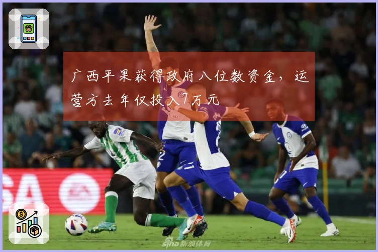广西平果获得政府八位数资金，运营方去年仅投入7万元