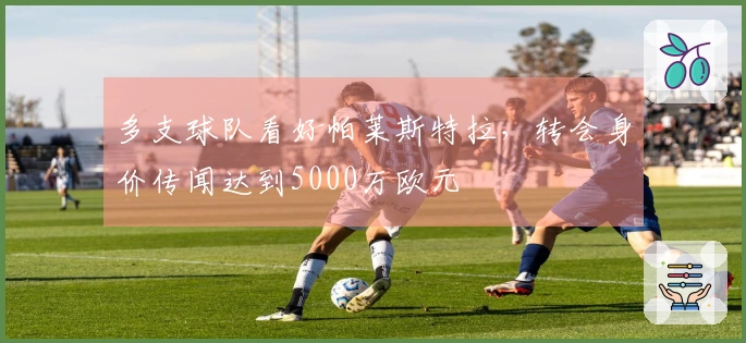 多支球队看好帕莱斯特拉，转会身价传闻达到5000万欧元